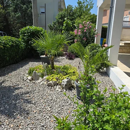 Knezevic 2 Jadranovo