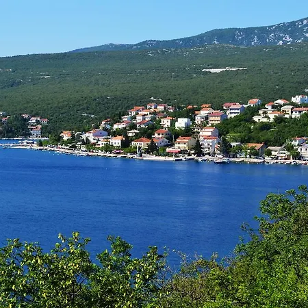 Knezevic 2 *