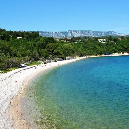 Knezevic 2 *