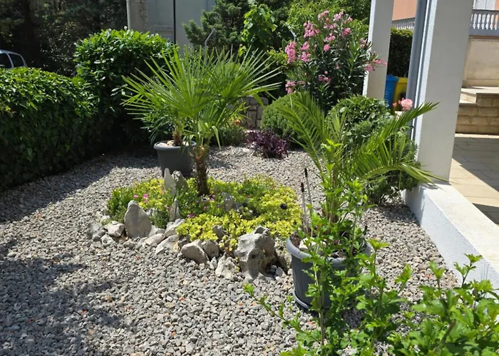 Knezevic 2 Jadranovo