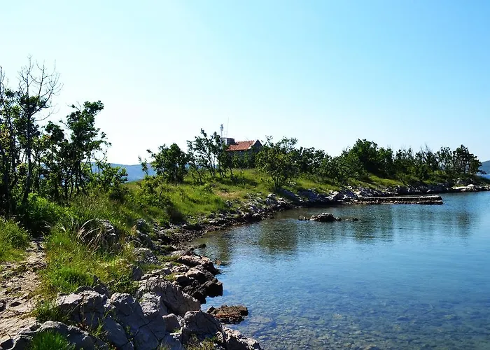 Knezevic 2 יאדראנובו