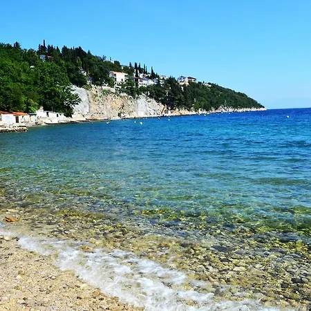 Knezevic 2