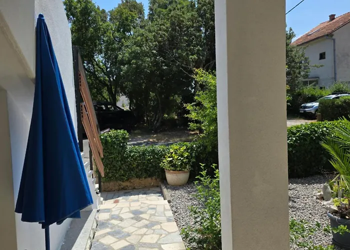Knezevic 2