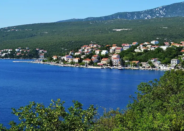 Knezevic 2 *