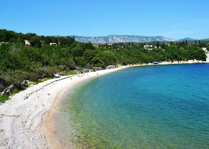 Knezevic 2 *