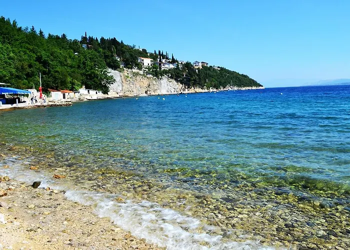 Knezevic 2